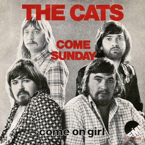   The Cats -  8
